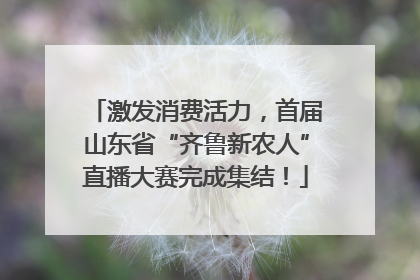 激发消费活力，首届山东省“齐鲁新农人”直播大赛完成集结！