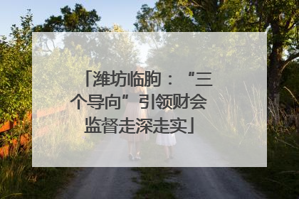潍坊临朐：“三个导向”引领财会监督走深走实