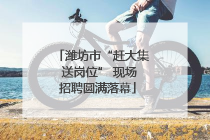 潍坊市“赶大集 送岗位” 现场招聘圆满落幕