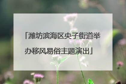 潍坊滨海区央子街道举办移风易俗主题演出