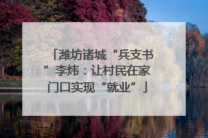 潍坊诸城“兵支书”李炜：让村民在家门口实现“就业”