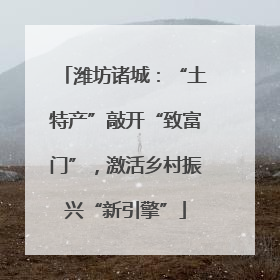 潍坊诸城：“土特产”敲开“致富门”，激活乡村振兴“新引擎”