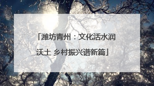 潍坊青州：文化活水润沃土 乡村振兴谱新篇