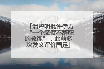 潘粤明批评伊万“一个装傻不辞职的教练”，此前多次发文评价国足