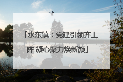 水东镇：党建引领齐上阵 凝心聚力焕新颜
