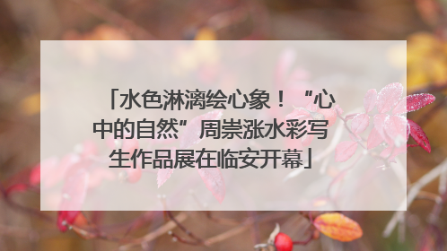 水色淋漓绘心象！“心中的自然”周崇涨水彩写生作品展在临安开幕