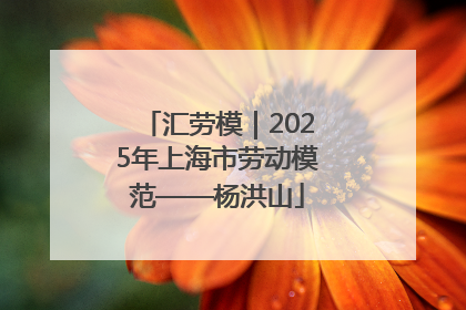 汇劳模｜2025年上海市劳动模范——杨洪山