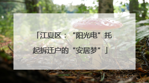 江夏区：“阳光电”托起拆迁户的“安居梦”