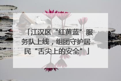 江汉区“红黄蓝”服务队上线，组团守护居民“舌尖上的安全”