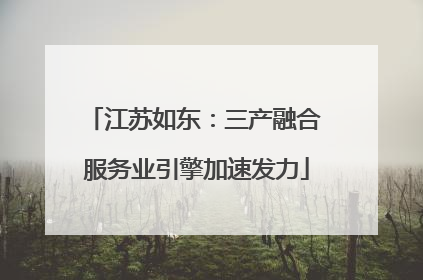 江苏如东：三产融合 服务业引擎加速发力