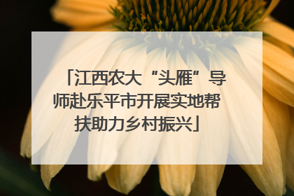 江西农大“头雁”导师赴乐平市开展实地帮扶助力乡村振兴