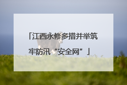 江西永修多措并举筑牢防汛“安全网”