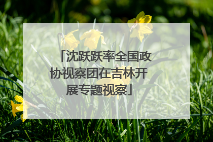 沈跃跃率全国政协视察团在吉林开展专题视察