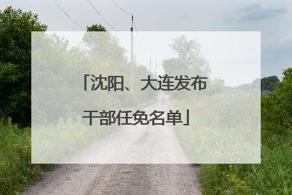 沈阳、大连发布干部任免名单