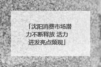 沈阳消费市场潜力不断释放 活力迸发亮点频现