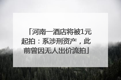 河南一酒店将被1元起拍：系涉刑资产，此前曾因无人出价流拍