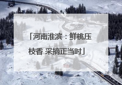 河南淮滨：鲜桃压枝香 采摘正当时