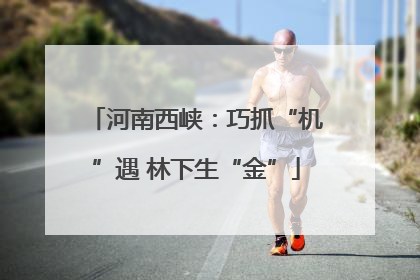 河南西峡：巧抓“机”遇 林下生“金”