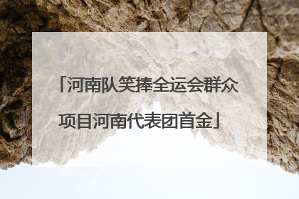 河南队笑捧全运会群众项目河南代表团首金