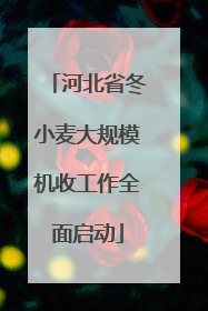 河北省冬小麦大规模机收工作全面启动