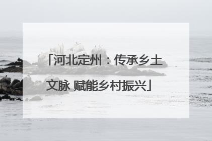 河北定州：传承乡土文脉 赋能乡村振兴