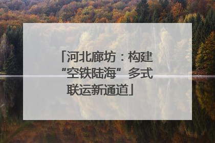 河北廊坊：构建“空铁陆海”多式联运新通道