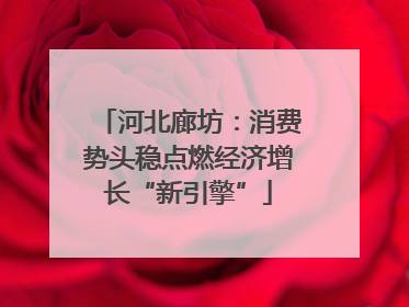 河北廊坊：消费势头稳点燃经济增长“新引擎”