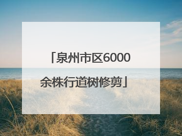 泉州市区6000余株行道树修剪