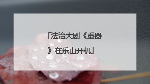 法治大剧《重器》在乐山开机