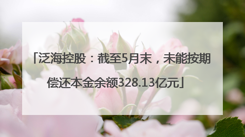 泛海控股：截至5月末，未能按期偿还本金余额328.13亿元
