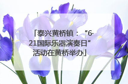 泰兴黄桥镇：“6·21国际乐器演奏日”活动在黄桥举办