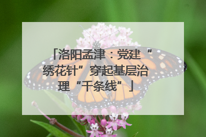 洛阳孟津：党建“绣花针”穿起基层治理“千条线”
