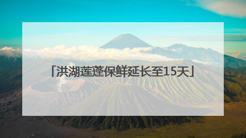 洪湖莲蓬保鲜延长至15天