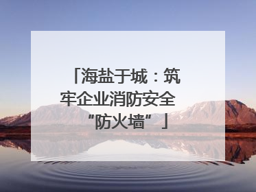 海盐于城：筑牢企业消防安全“防火墙”