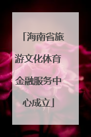 海南省旅游文化体育金融服务中心成立