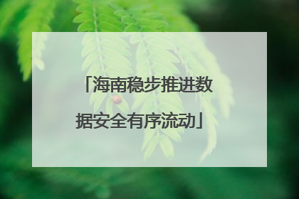 海南稳步推进数据安全有序流动