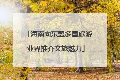 海南向东盟多国旅游业界推介文旅魅力