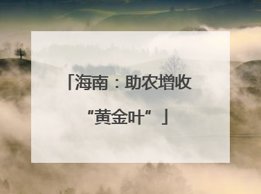 海南：助农增收 “黄金叶”