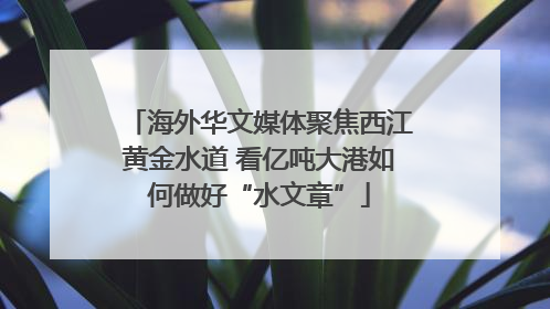 海外华文媒体聚焦西江黄金水道 看亿吨大港如何做好“水文章”