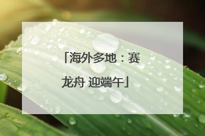 海外多地：赛龙舟 迎端午