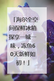 海尔全空间保鲜冰箱探享一城一味，冻鱼60天新鲜如初！