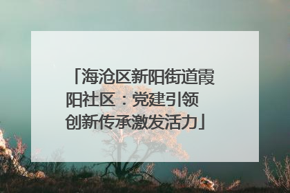 海沧区新阳街道霞阳社区：党建引领 创新传承激发活力