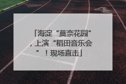 海淀“莫奈花园”，上演“稻田音乐会”！现场直击