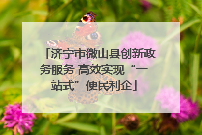济宁市微山县创新政务服务 高效实现“一站式”便民利企