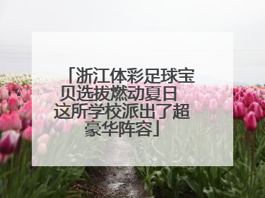 浙江体彩足球宝贝选拔燃动夏日 这所学校派出了超豪华阵容