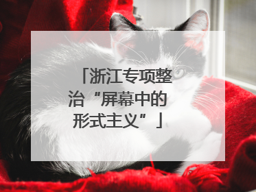 浙江专项整治“屏幕中的形式主义”