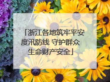 浙江各地筑牢平安度汛防线 守护群众生命财产安全