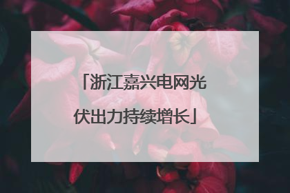 浙江嘉兴电网光伏出力持续增长