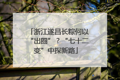 浙江遂昌长粽何以“出圈”？“七十二变”中探新路