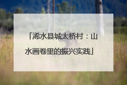 浠水县城太桥村：山水画卷里的振兴实践